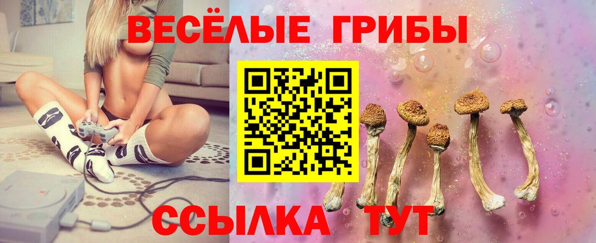 Дзержинск  Псилоцибиновые грибы Magic Shrooms  Вход с VPN 